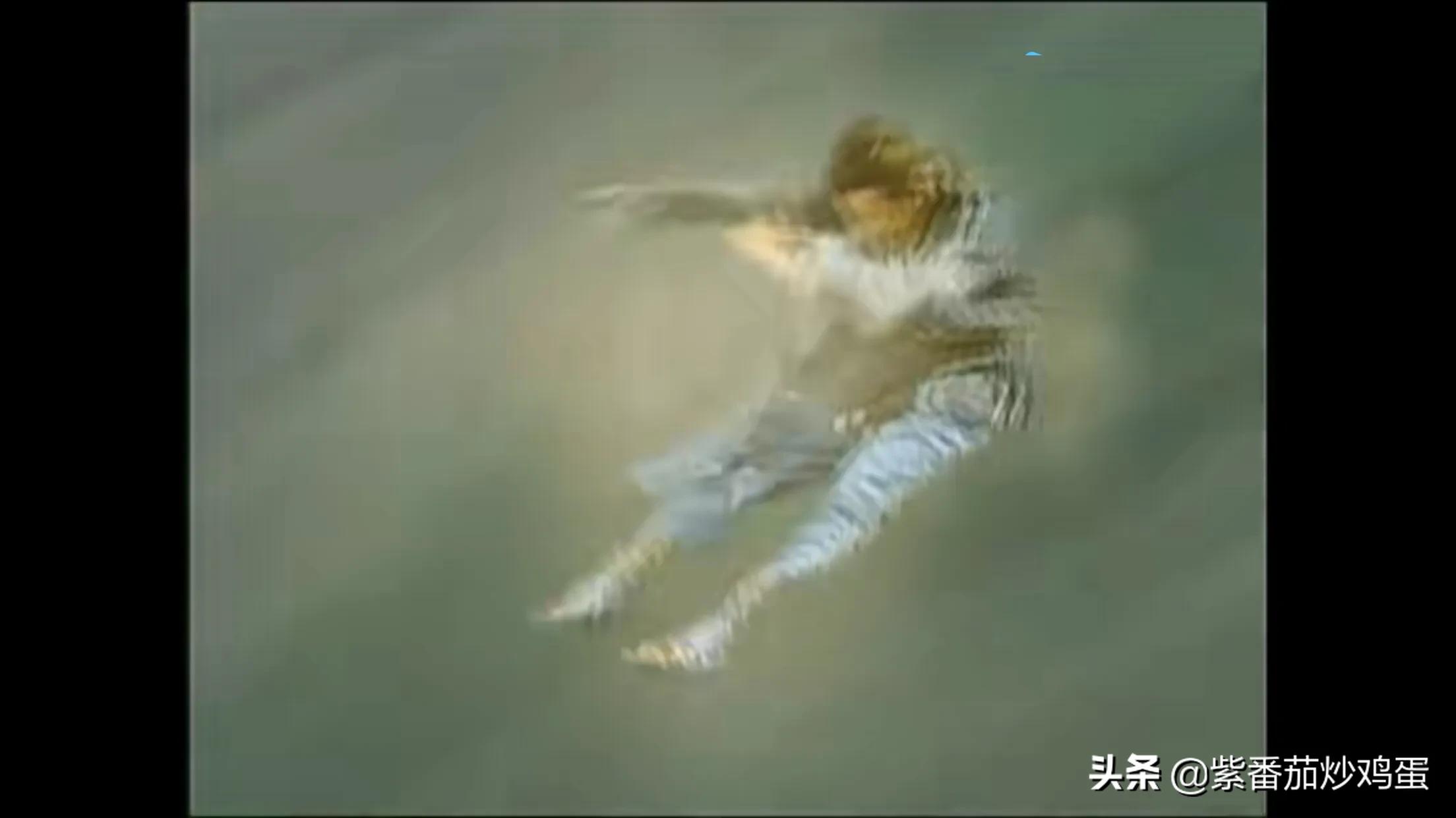 倚天屠龙记中灭绝师太是哪个门派,倚天屠龙记中灭绝师太的武功