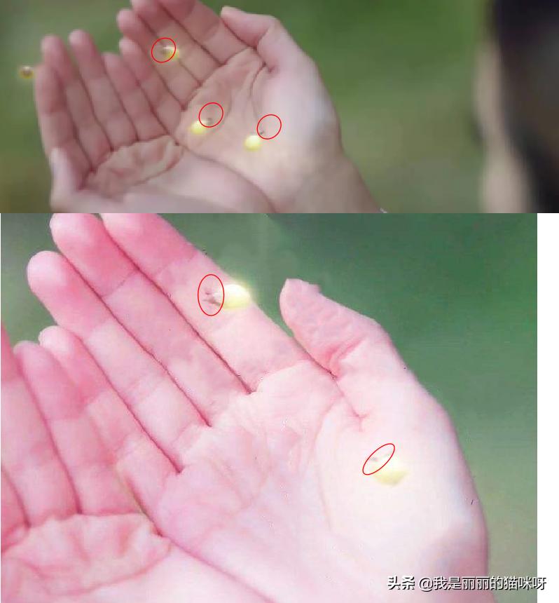 三生三世枕上书精彩段落剧评,三生三世枕上书收视率一分钟破亿