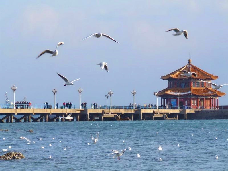 再别栈桥,再别温哥华插曲