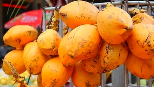 海南有哪些热带水果推荐,海南热带水果都有哪些