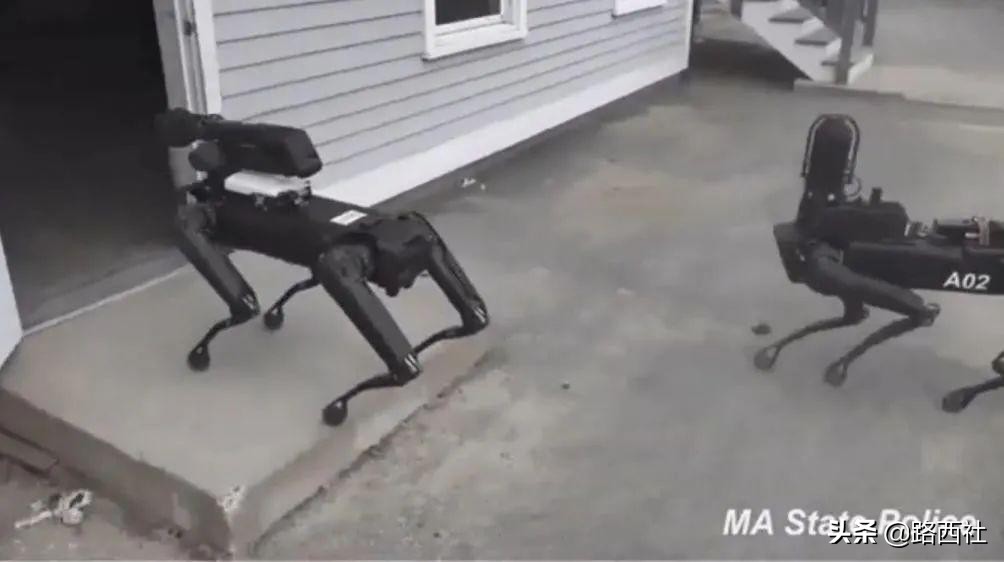 养狗嘛?53万、世界首富同款