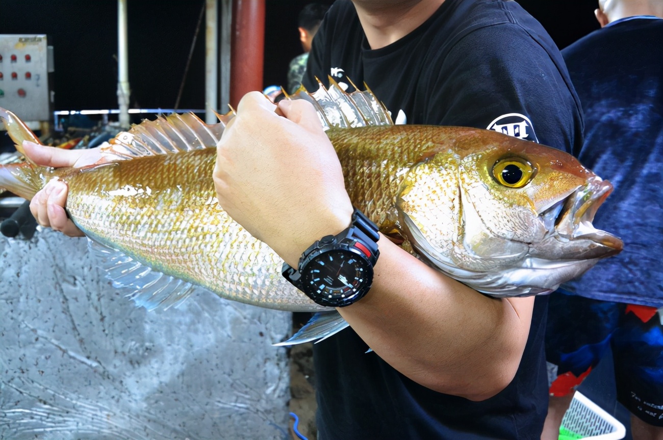 西沙群岛渔船海钓之旅,西沙群岛海钓游