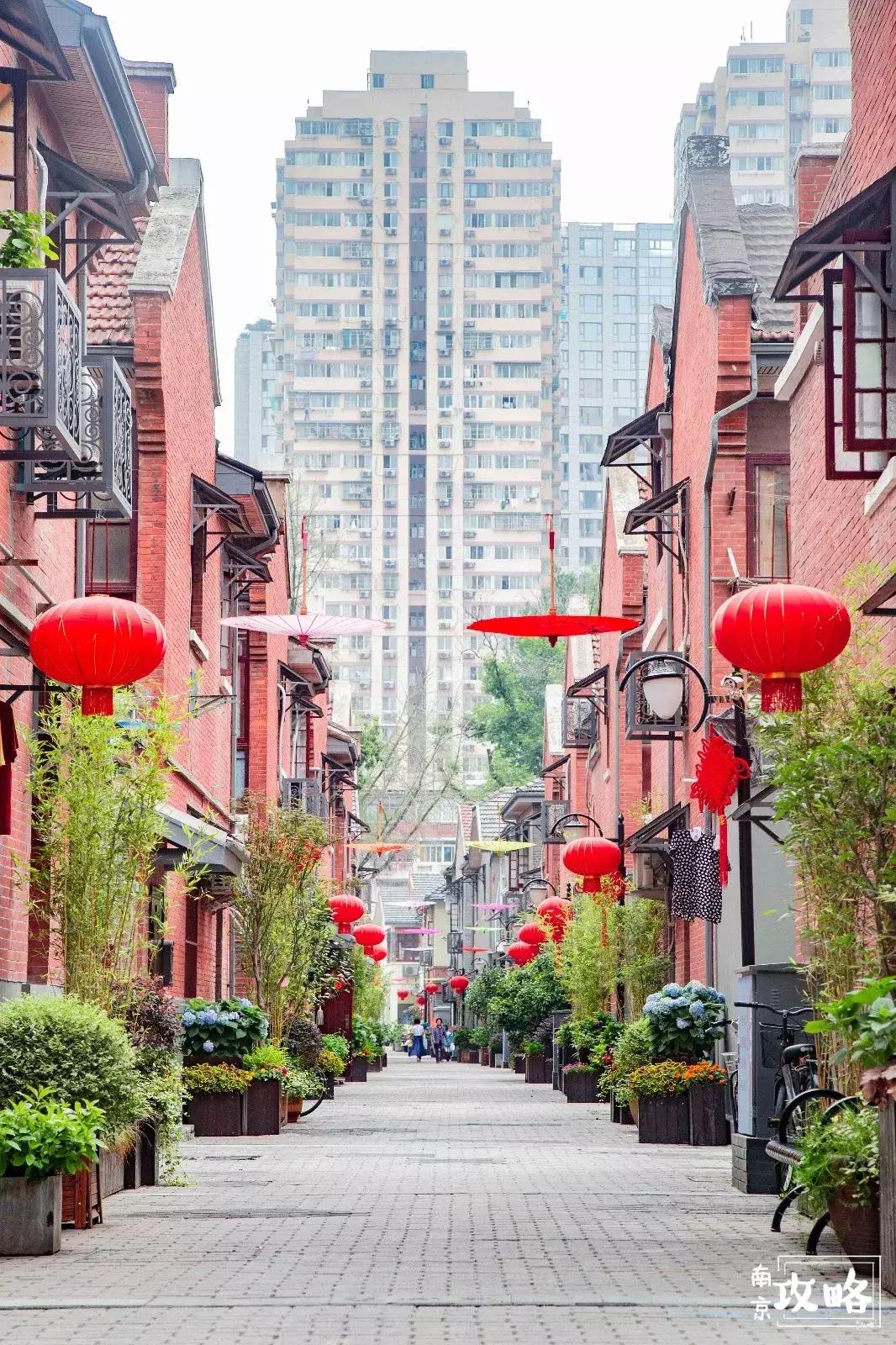 慧园里，南京城中，时光交错的角落