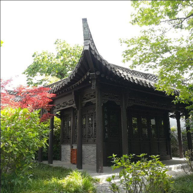 游小盘谷翻译,游小盘谷记赏析