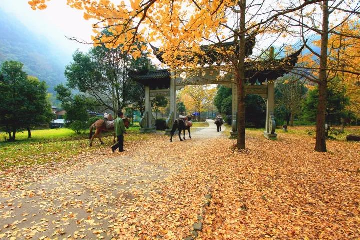 绍兴旅游攻略酒店,绍兴旅游攻略一日游路线