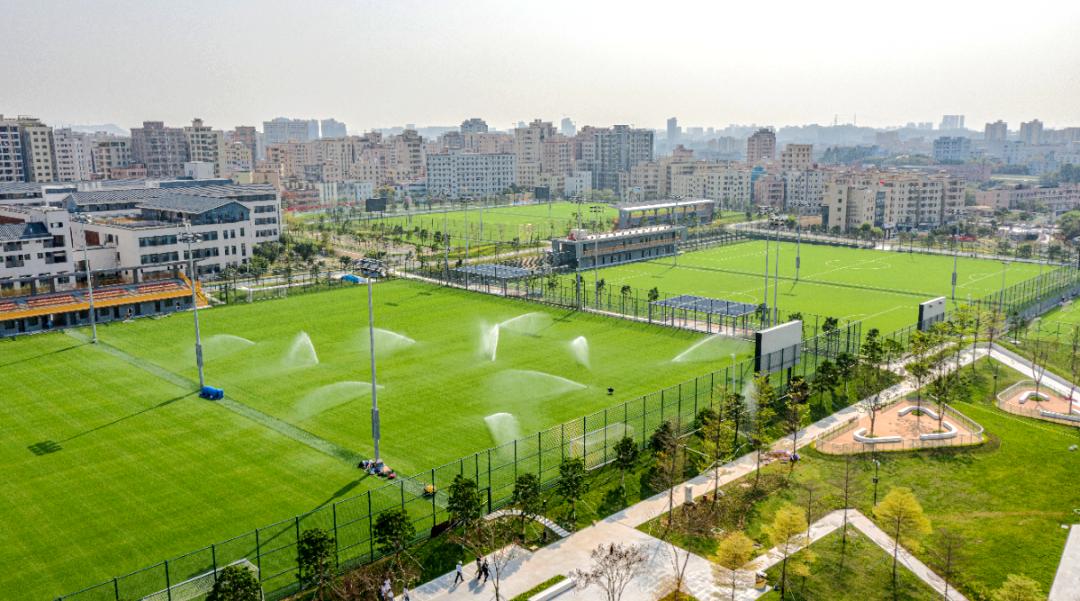 文化之源涵养创新沃土!光明这样让艺术之光照进科学之城