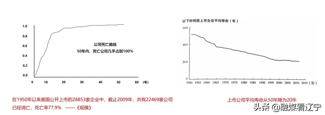 【全文摘录】《活着》公益大讲堂第3季终话