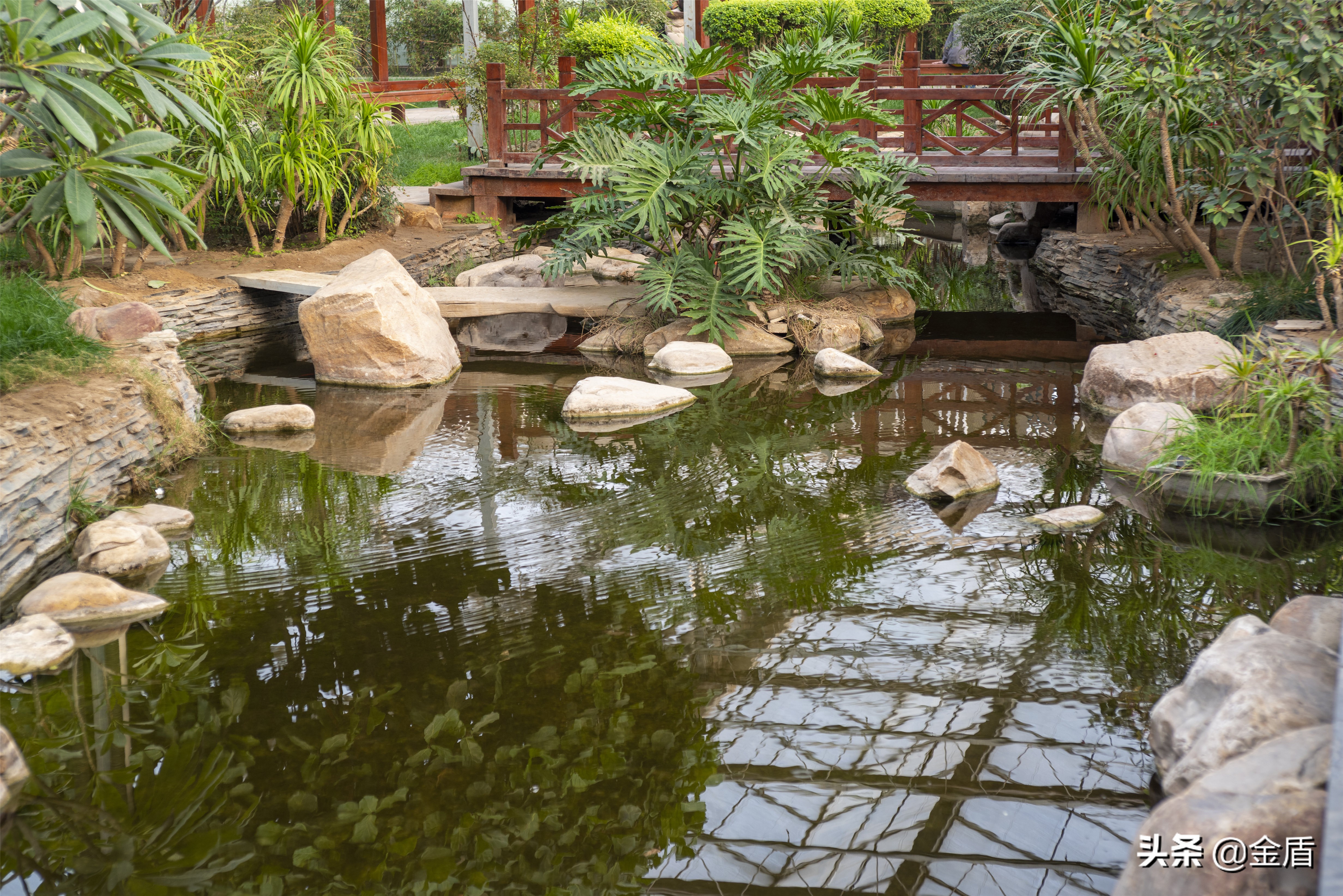 九天休闲谷欢迎您游玩,九天休闲谷适合春天去吗