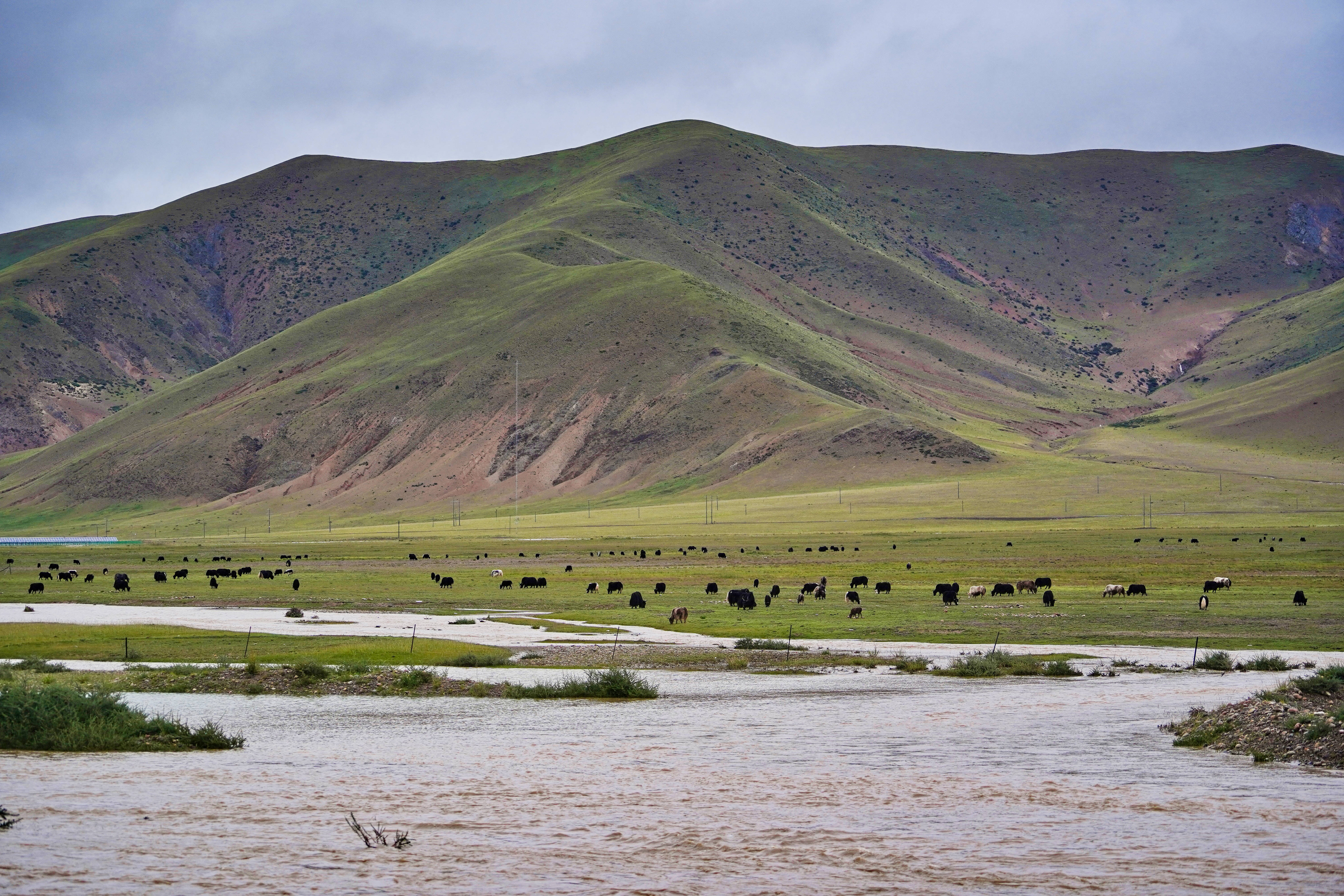 西藏昌都然乌湖美景如画,西藏昌都然乌湖景区美景