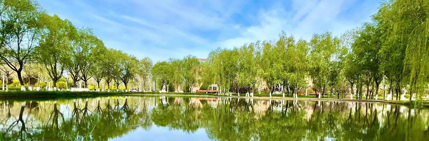 娌冲寳鏀挎硶澶у,娌冲寳鏀挎硶澶у瑗块櫌椋熷爞