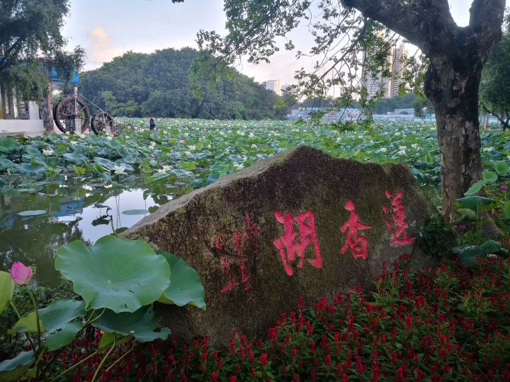 奔跑在深圳市中心,深圳洪湖公园最好的地方