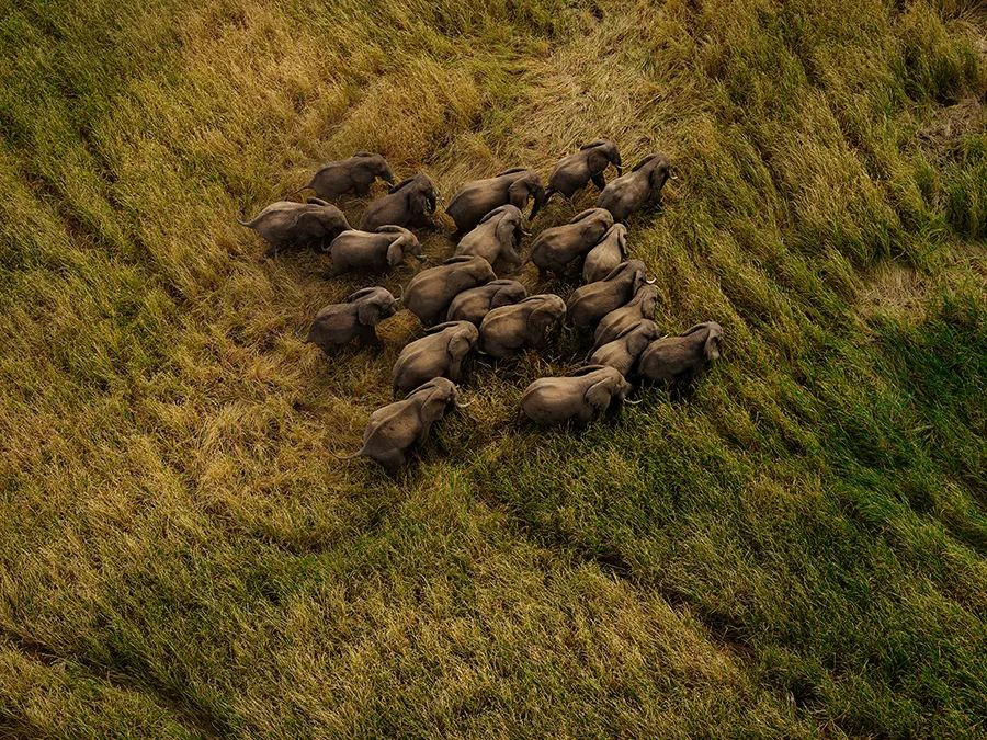 富士中画幅恢复出厂设置,重新定义中画幅