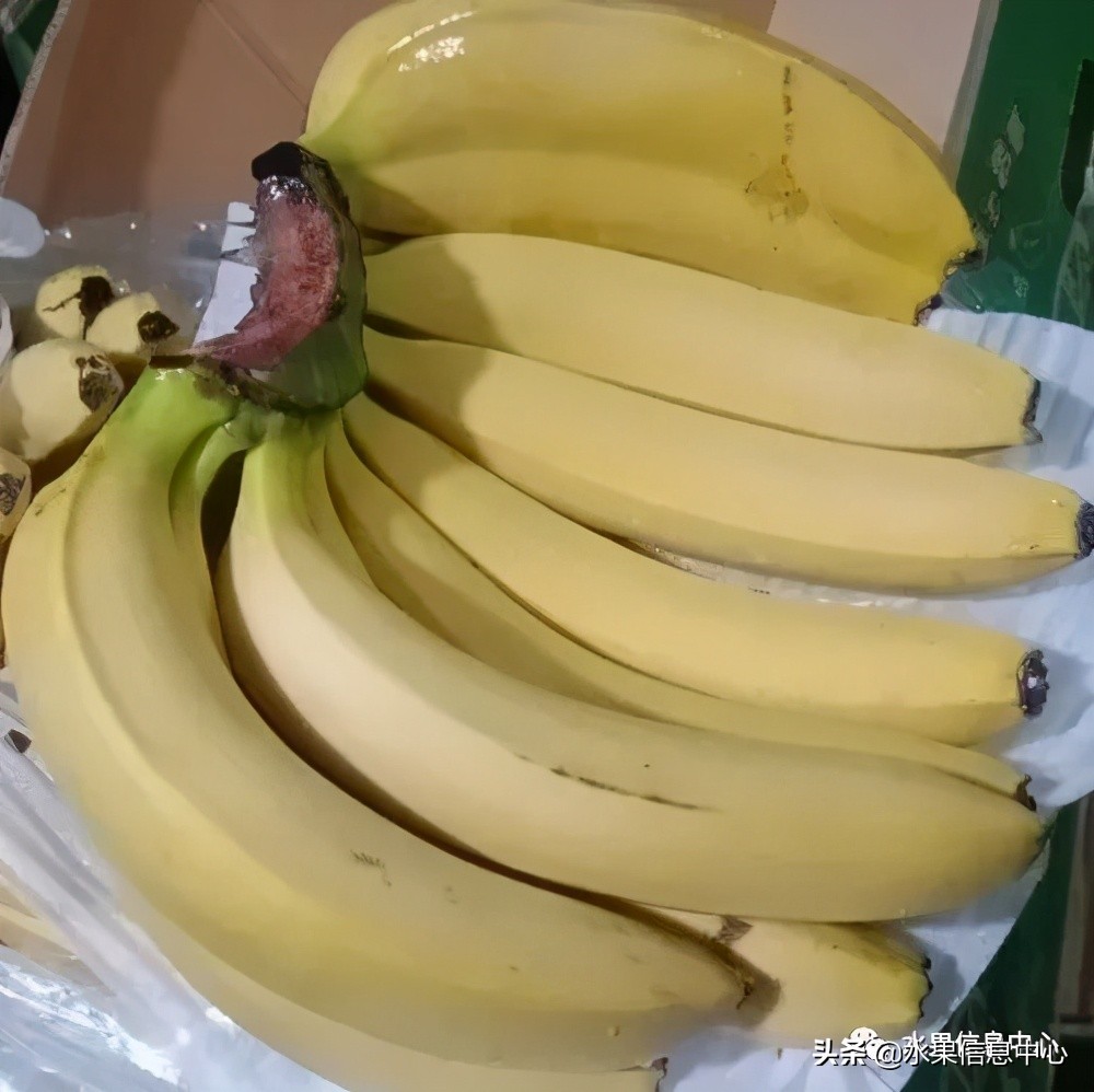 水果天堂：海南水果品种及上市时间表