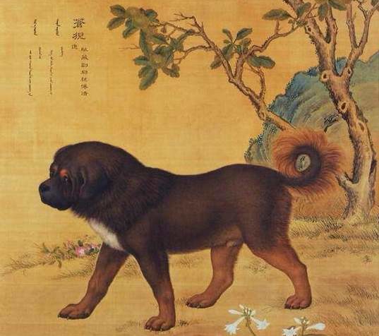 中国十骏犬图集,清朝十骏犬图都是啥品种