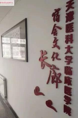 天津医科大学七所直属医院,天津医科大学独立学院是几本