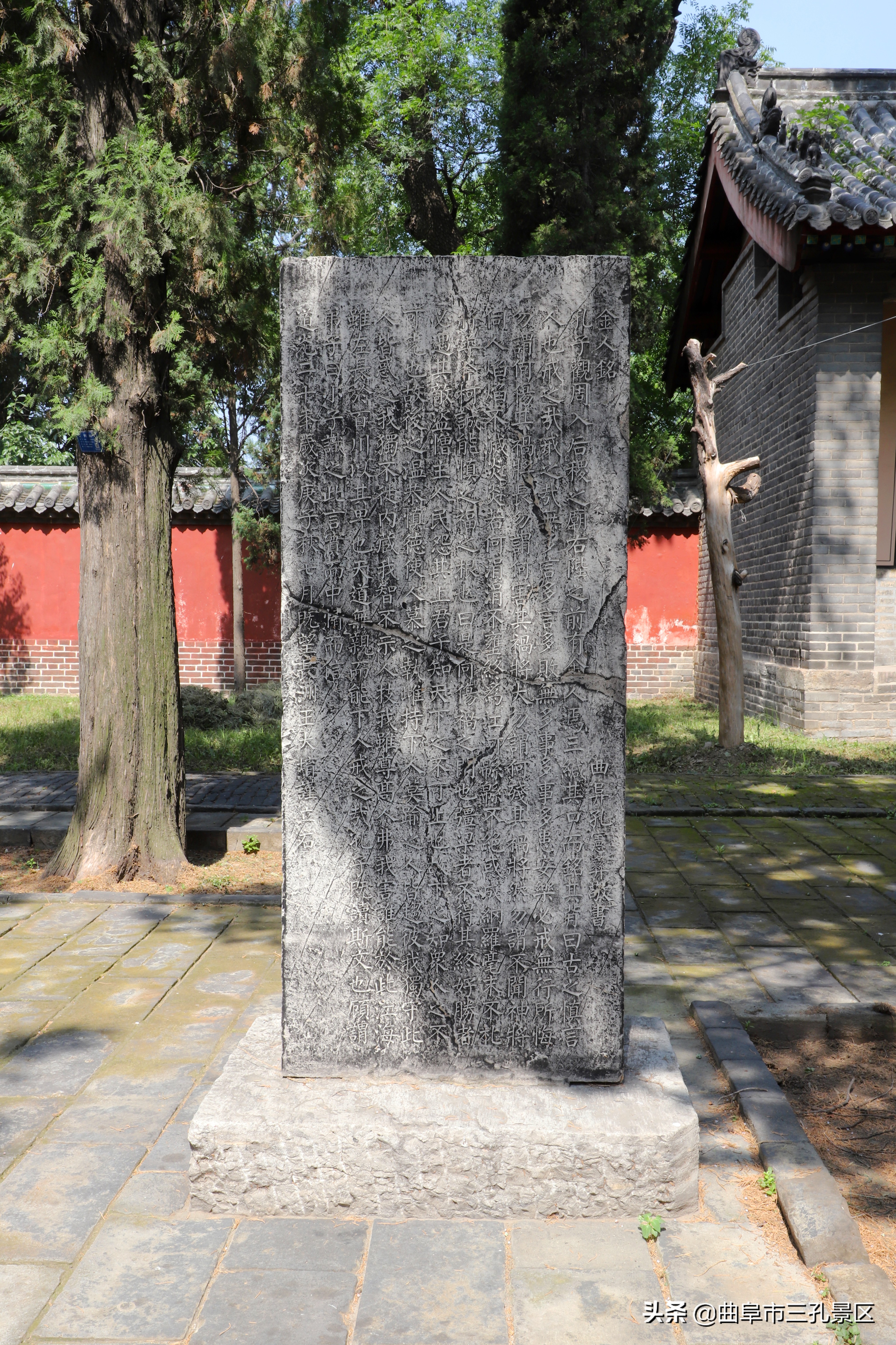 曲阜三孔门票免费规定旅游攻略,曲阜三孔景区门票免费政策最新