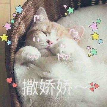 这一年值得入手的平价好物,那些被吹爆的大牌护肤品