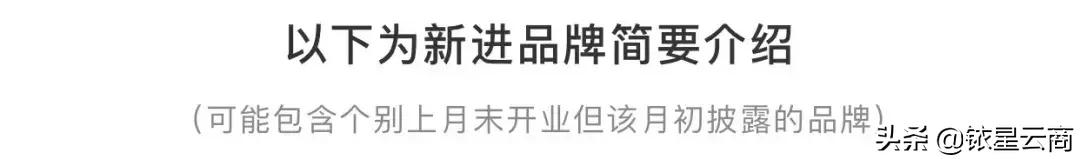 swisse中国专卖店,swisse购物中心