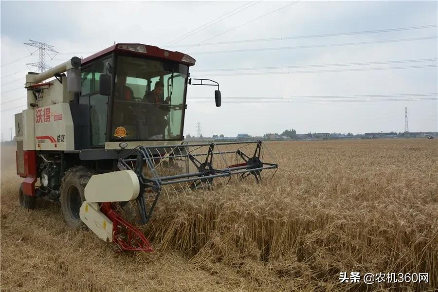 麦客首选,一机多用!沃得皓龙轮式纵轴流4LZ-8F型收获机闪耀上市