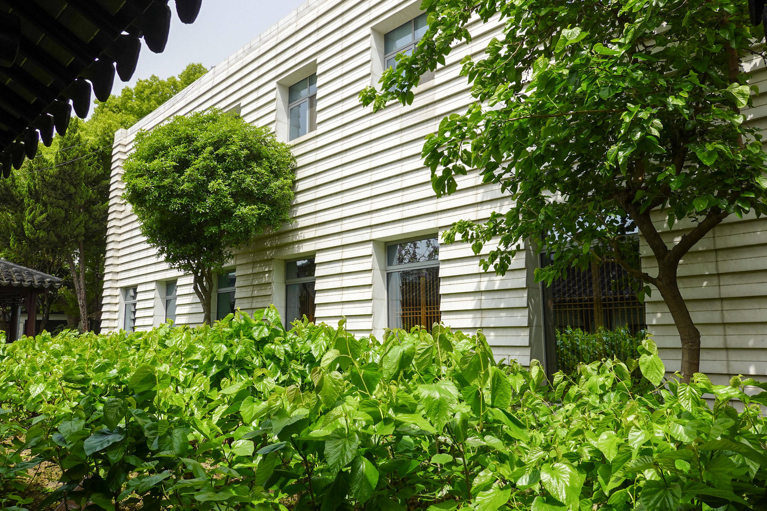 鑻忓窞鏃呮父灏忎紬鏃呮父鏀荤暐,鑻忓窞鏃呮父鏀荤暐灏忎紬鏅偣鎺ㄨ崘