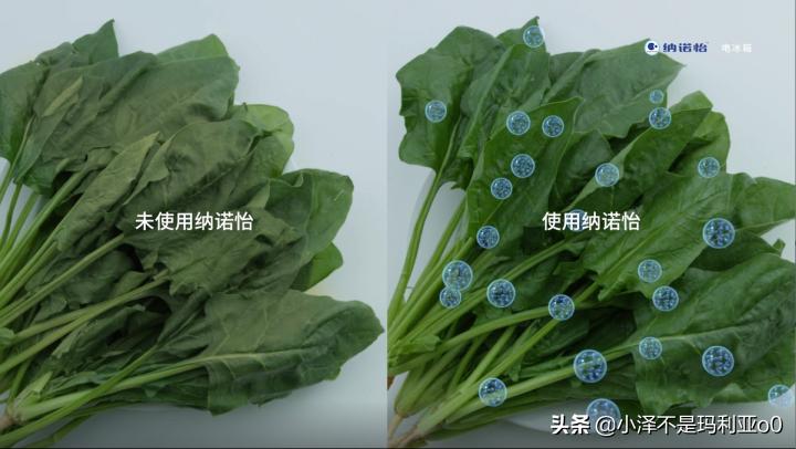 松下纳诺怡除味功能,松下纳诺怡除菌的优缺点