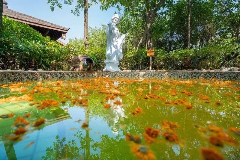 厦门杏博湾天沐温泉度假村,暑天室外怎样解暑