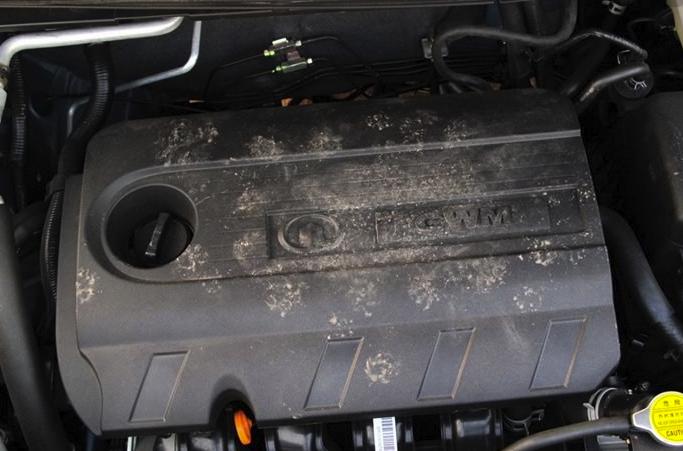 发动机舱进老鼠用什么去除比较好,发动机舱进老鼠怎么处理最好