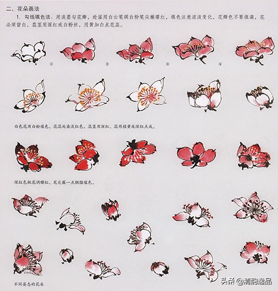 怎样画国画桃花的绘画技法,国画写意桃花技法视频