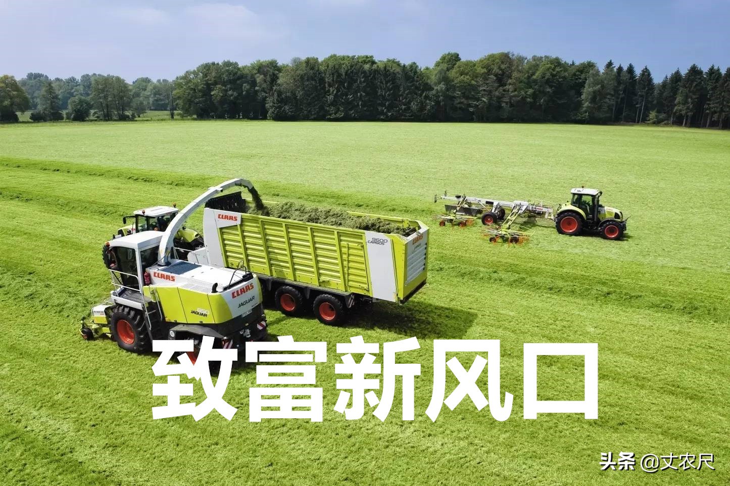 农业致富风口,未来5年农村的3个致富风口