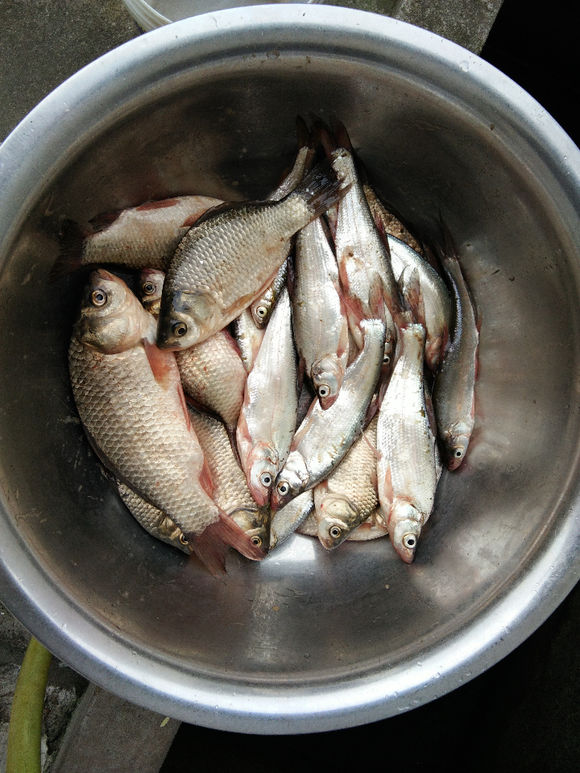 冬天鱼儿藏在哪里怎么下网,冬天鱼都藏在池塘的哪个角落