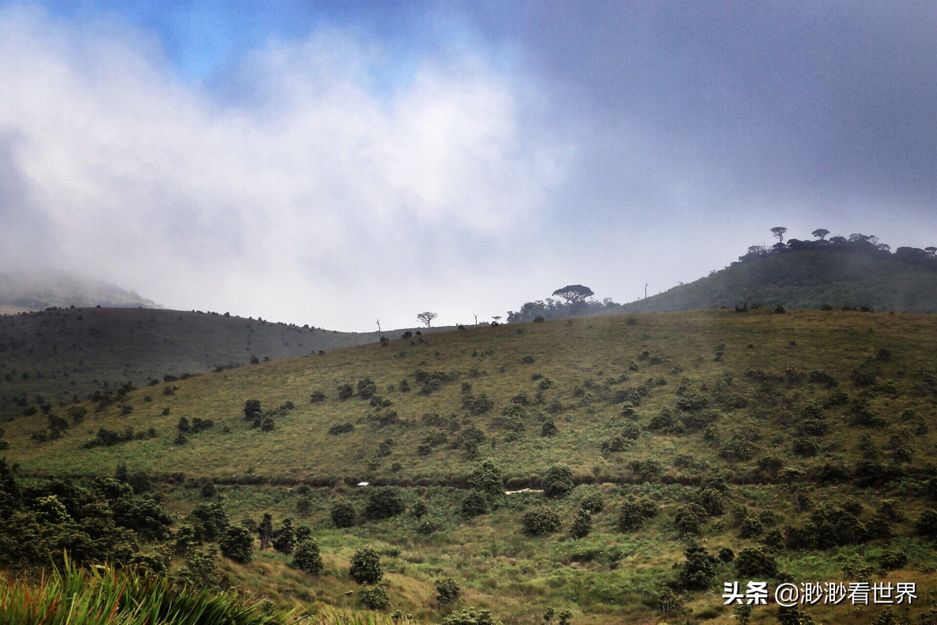 去斯里兰卡旅游攻略,1月去斯里兰卡旅游的最佳攻略