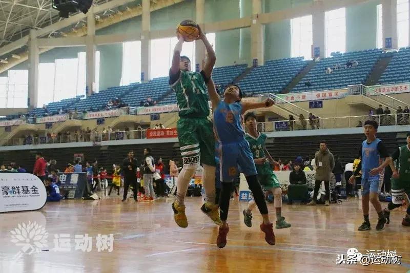 中国篮球名宿走进学校,中国篮球名宿26分