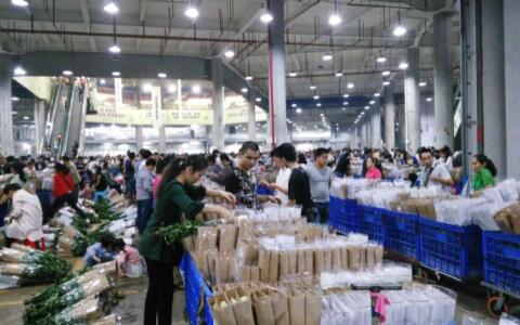 花从斗南来：每朵鲜花背后的故事