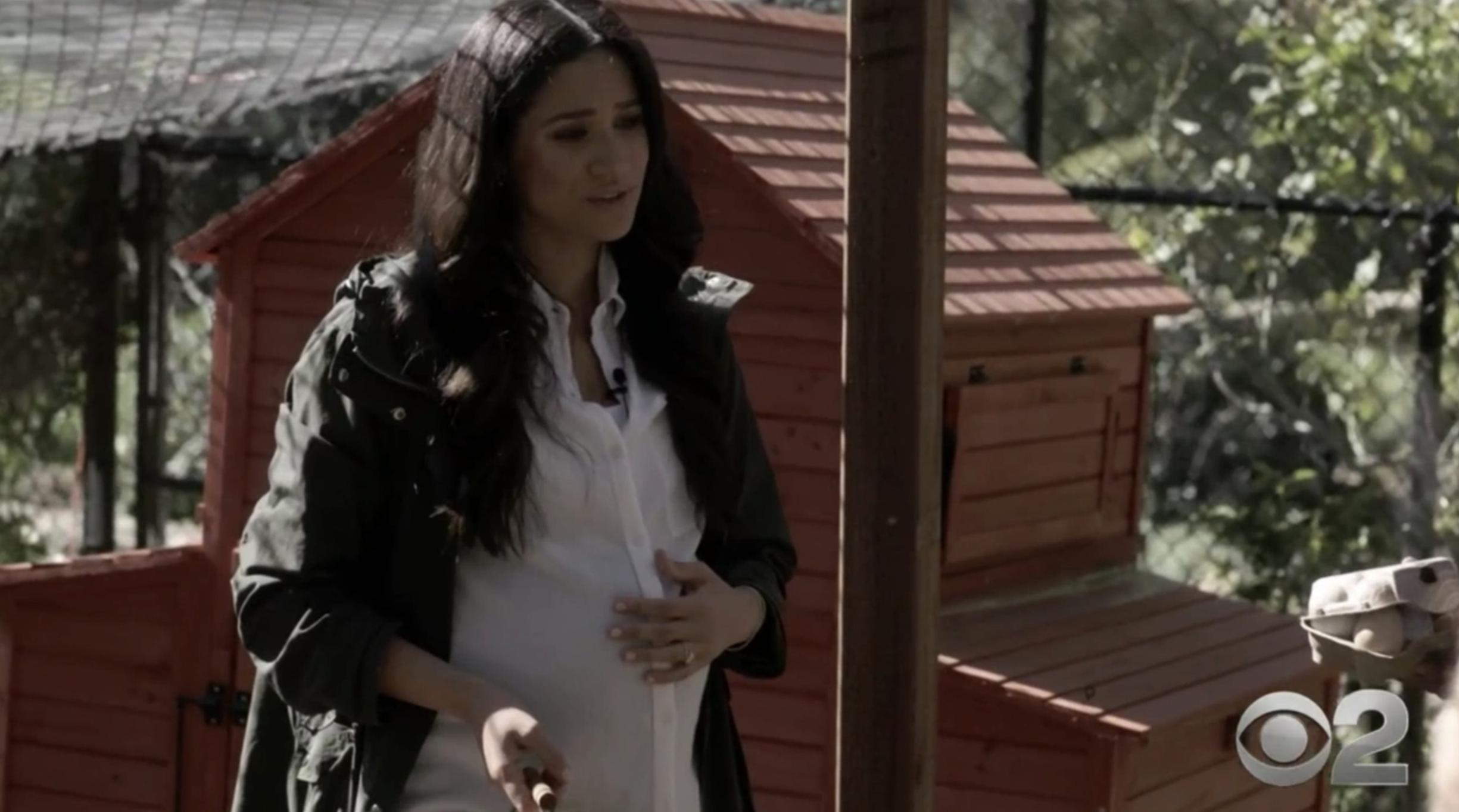 梅根凯特穿搭,梅根凯特穿碎花裙