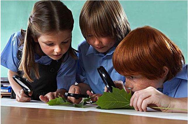 有6个孩子的家庭会不会很苦,拥有六个超能力的小孩