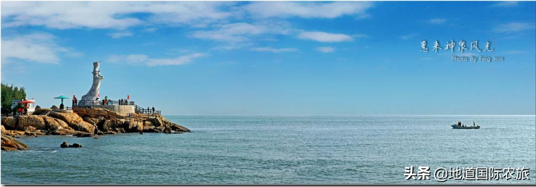 惠来隆江本地人吃哪家猪脚饭,广东省揭阳市惠来县隆江猪脚饭