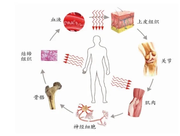 针灸的激光有什么用,医用激光针灸
