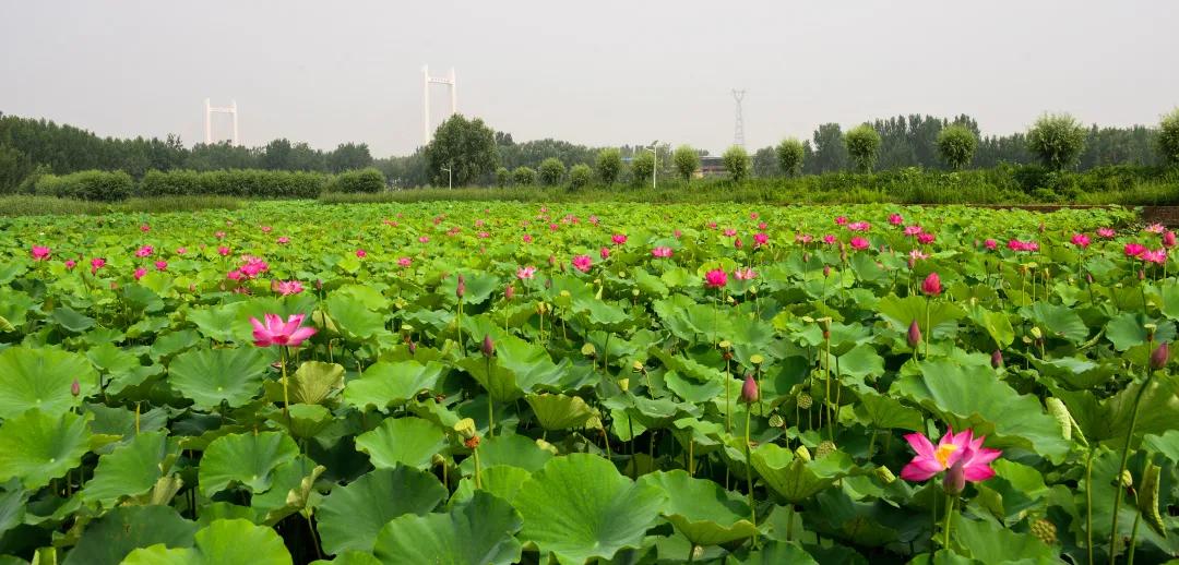 济南市灵山风景区,济南古香古色的景区
