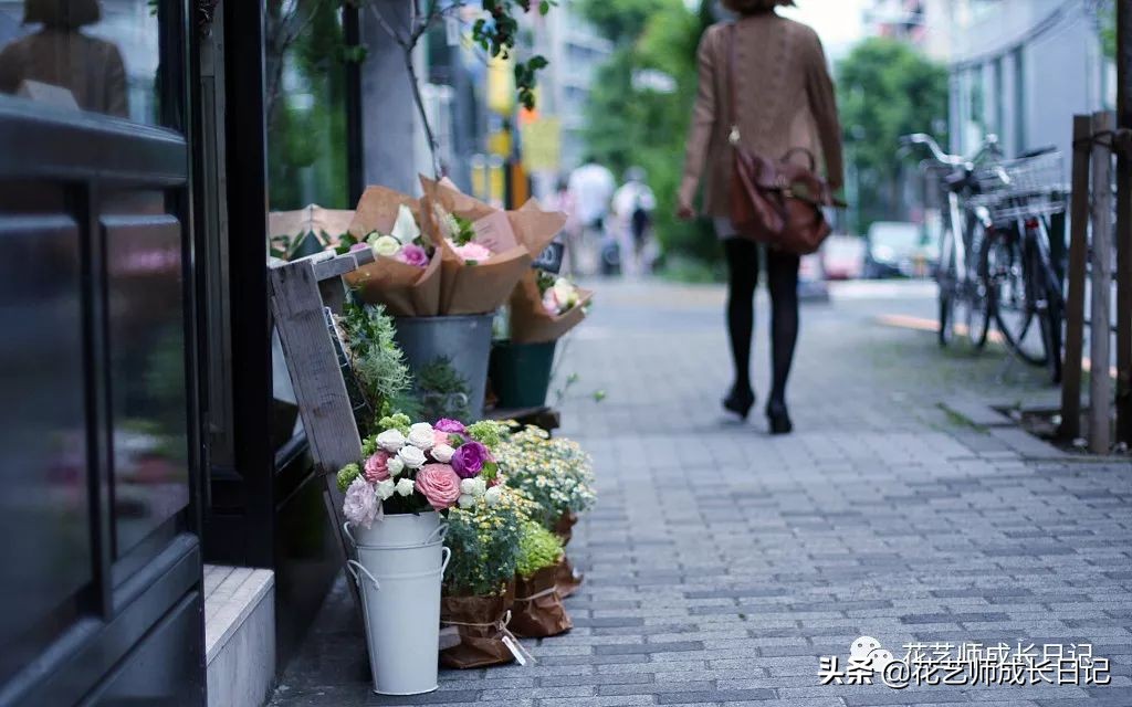 花店护理花小技巧,花店花材养护及资料整理