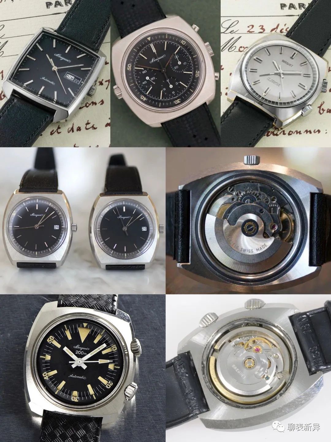 百里鸽是什么鸽,百里鸽是什么鸽图片