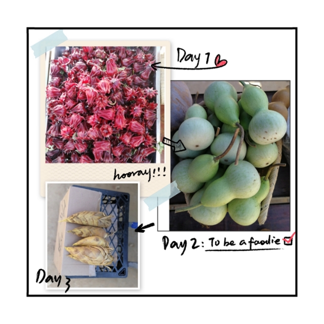 山清水净鸟语花香,广州从化山水田园旅游