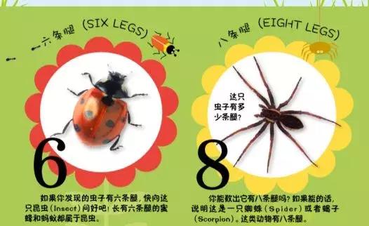 被封神的DK儿童科普书籍，到底哪些值得读？建议家长入手前看这篇