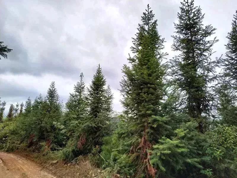 广东省徒步的好地方,广东哪里地方适合周末自驾游