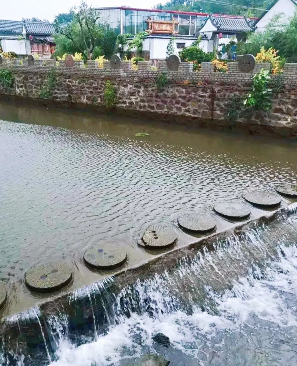 济南申请加入“大乱斗”！@理塘丁真，你的珍珠……泉在这里！