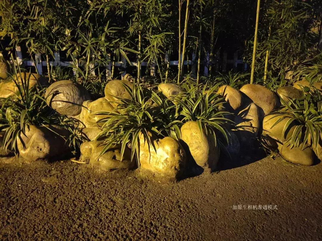 千元机变万元机,千元机拍照堪比苹果