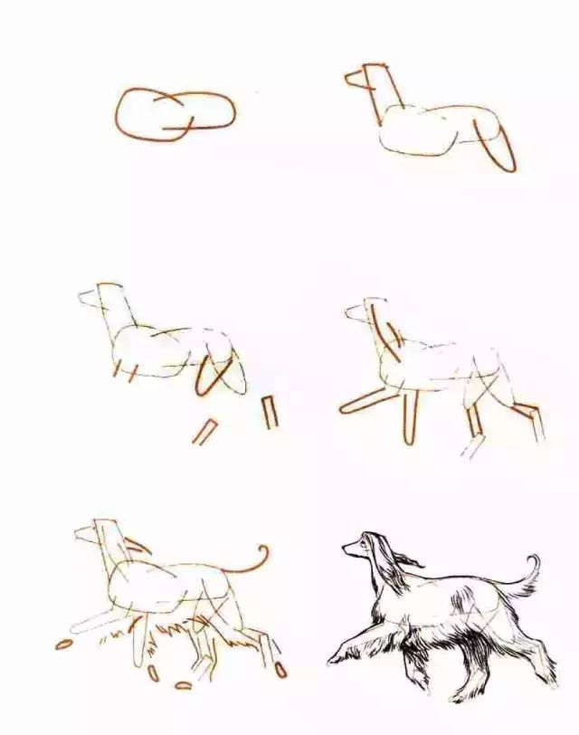 你想要的简笔画教程,一学就会的简笔画教程