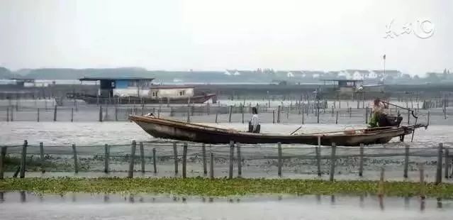 每天都浇水怎么用水溶肥,天天换水适应水质