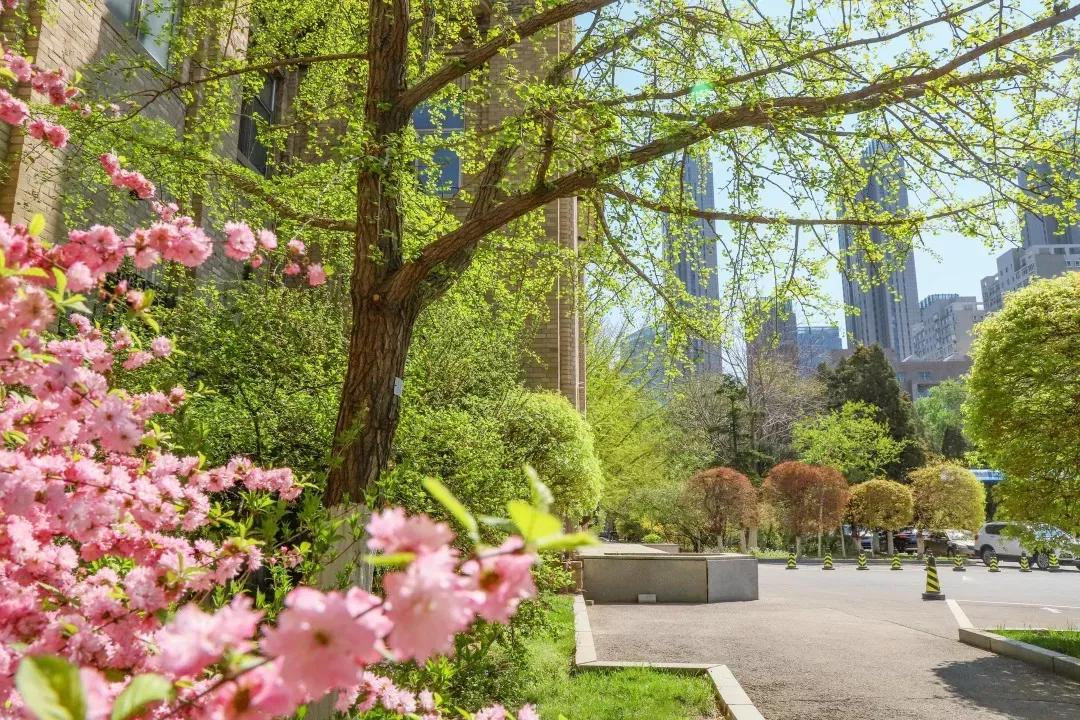 辽宁大学和鲁迅美术学院,辽宁省鲁迅美术学院是985吗