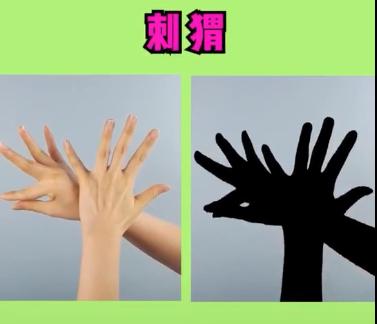 宝宝睡前玩的手影游戏,儿童手脑协调游戏