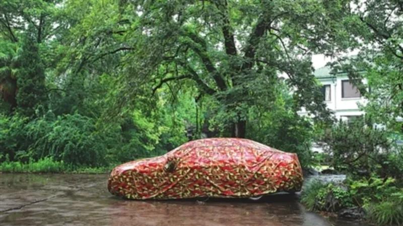 雨后苏州视频,雨后苏州的图片
